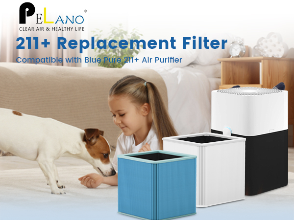 211+ Replacement Filter