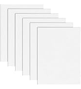 Hiceeden 6 Pack ABS Plastic Sheet 12