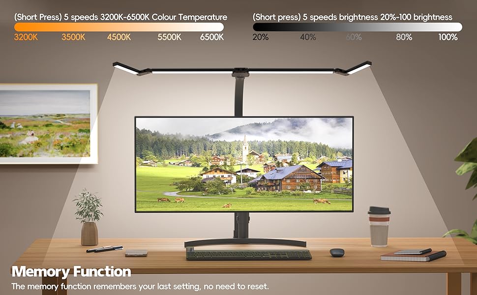 LED Desk Lamp with Memory Function