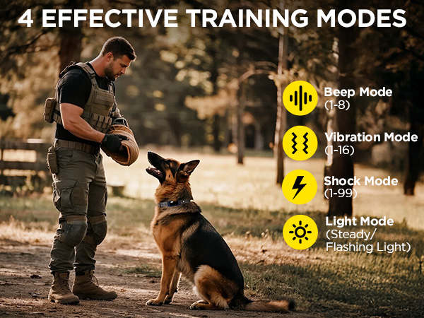 dog shock collar with remote