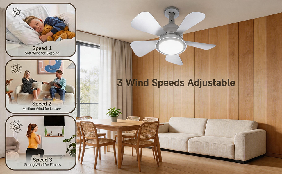 Ceiling Fan with Light