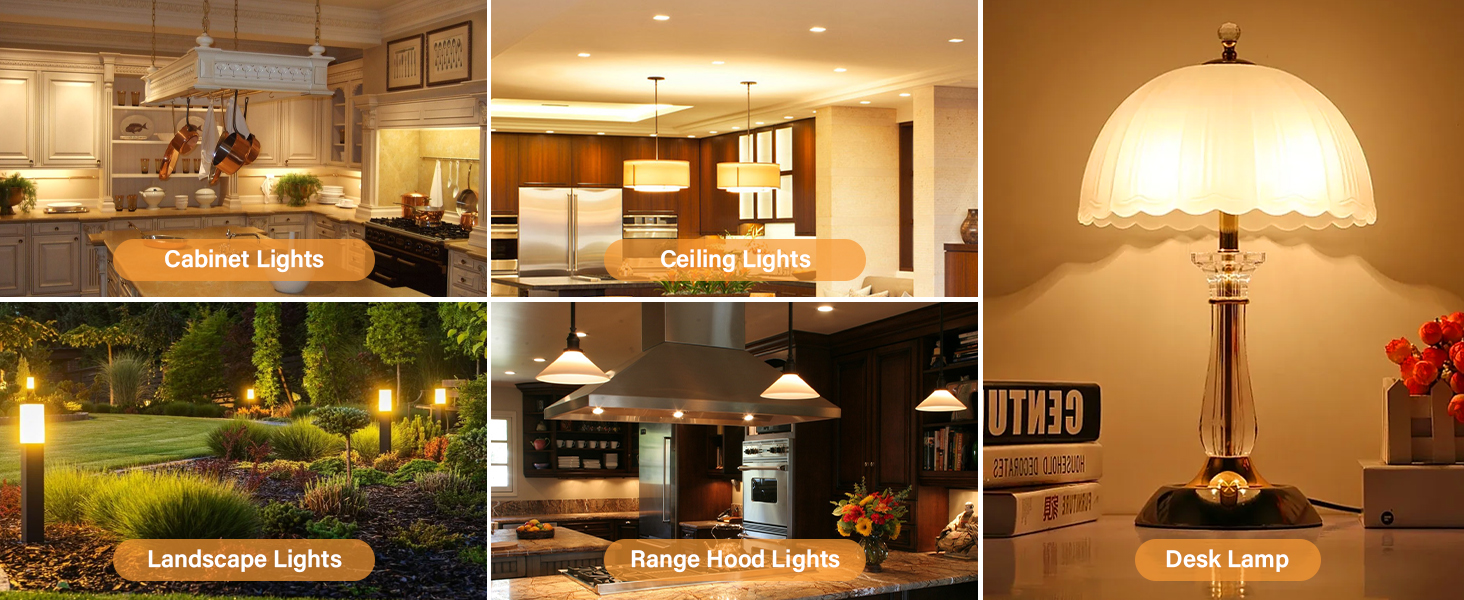 12 volt led light bulbs