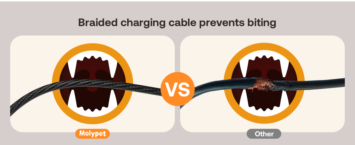 automatic cat food dispenser
