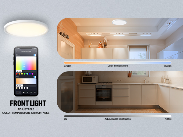 smart ceiling light
