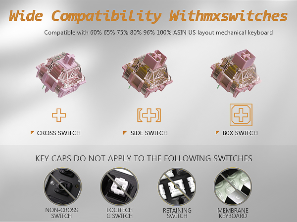 WITH MXSWITCHES