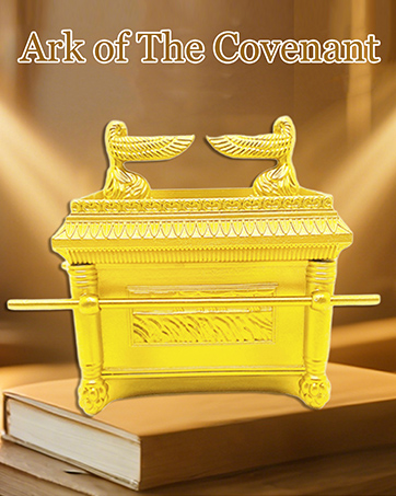 https://m.media-amazon.com/images/S/aplus-media-library-service-media/b0516a10-5c1c-46d4-977f-eddfb855a4b0.__CR0,0,362,453_PT0_SX362_V1___.jpg