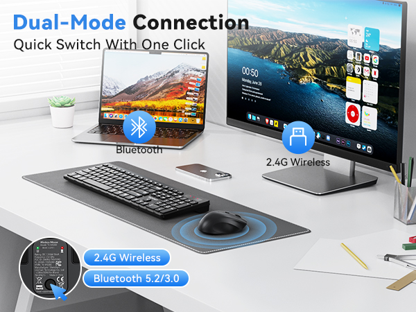 mouse