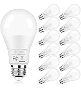 12-Pack A19 LED Light Bulbs, 100W Equivalent Bulbs, 13W 5000K Daylight White LED Bulbs with Stand...