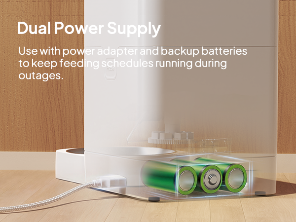 Automatic Cat Feeders