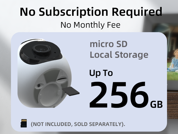 no monthly fee