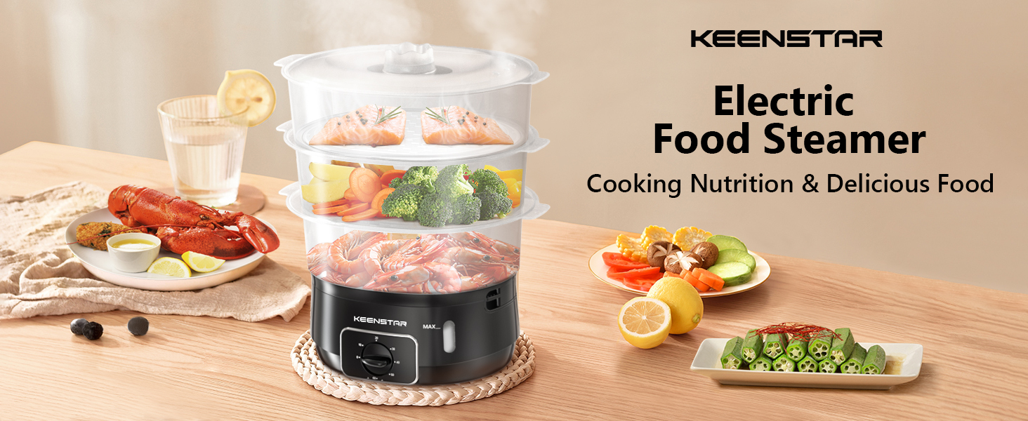 eletric food steamer