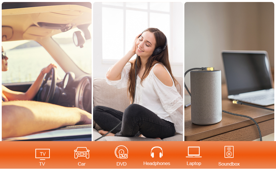 Dual 90 Degree AUX Cable