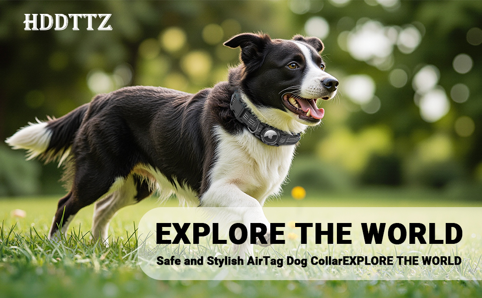 airtag dog collar