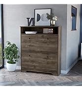 Donext Shoe Cabinet, Freestanding Tipping Bucket Shoe Storage Cabinet with 2 Flip Drawers, Entryw...