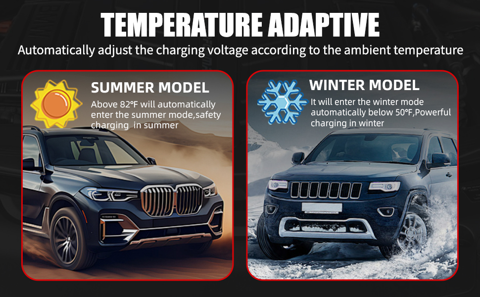 trickle charger for car battery 12v