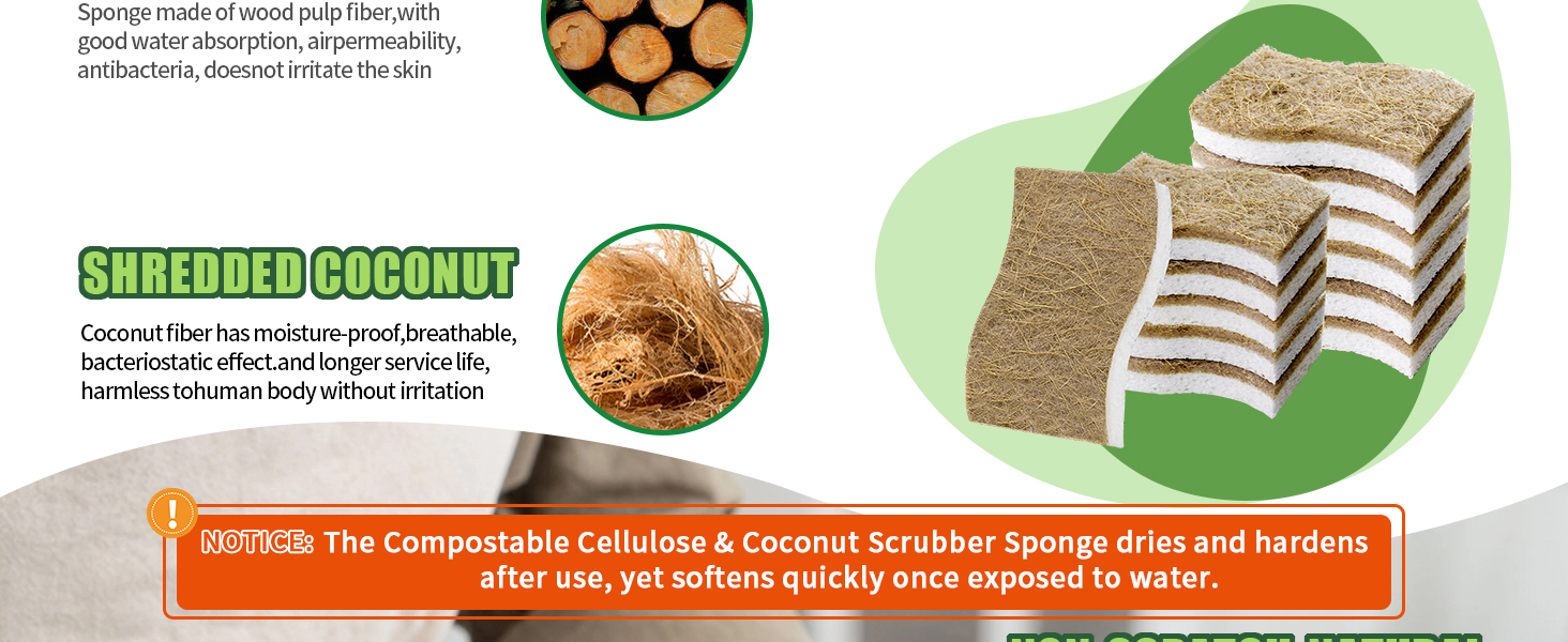 Sponges Kitchen Natural Dish Sponge