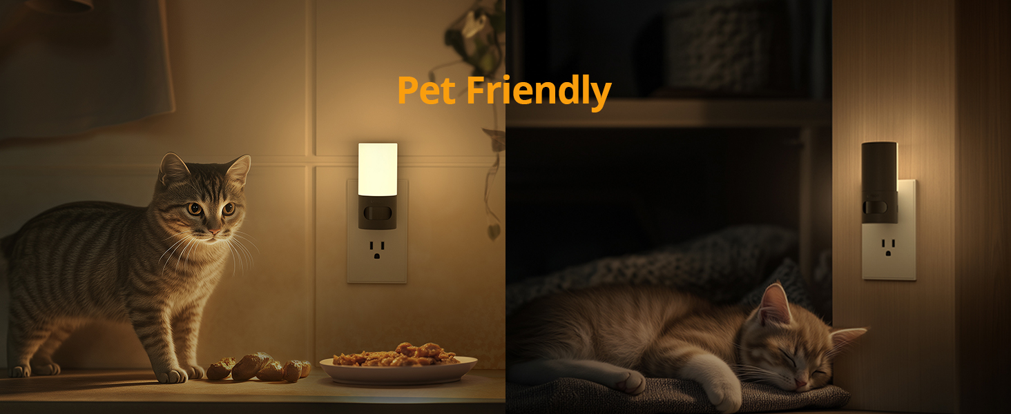 pet night light