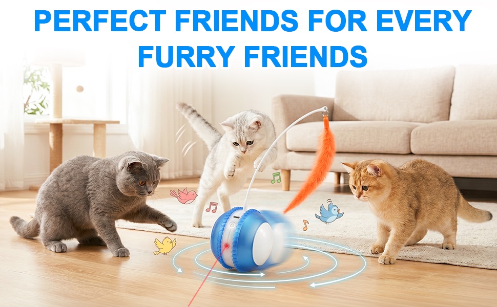 cat toy ball