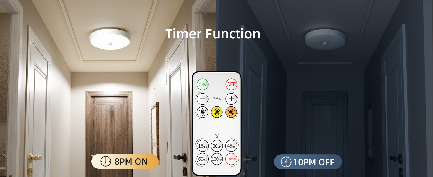 shower lights with remote