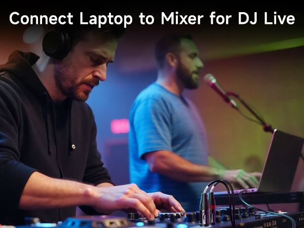 TRS to Dual 6.35mm TS Breakout Cable