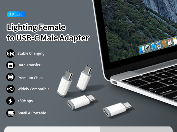 Light-ning to USB C Adapter