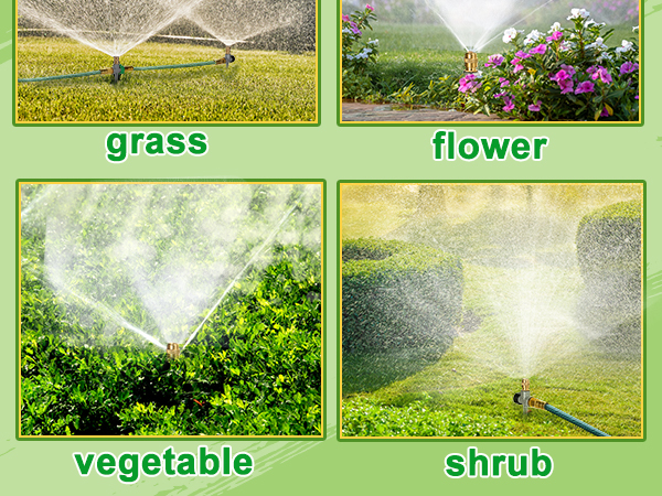 widely used