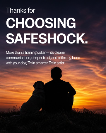 Person and dog silhouette sitting together on hillside watching amber sunset after training