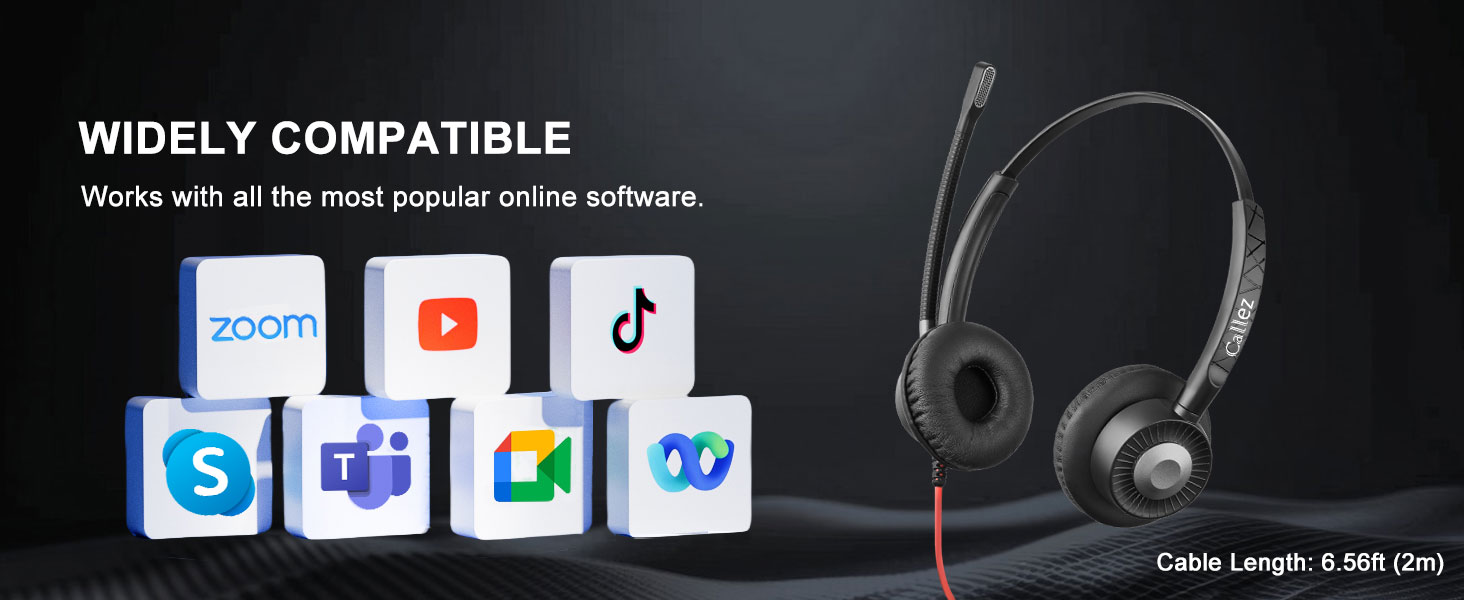 Works with all the most popular online software.