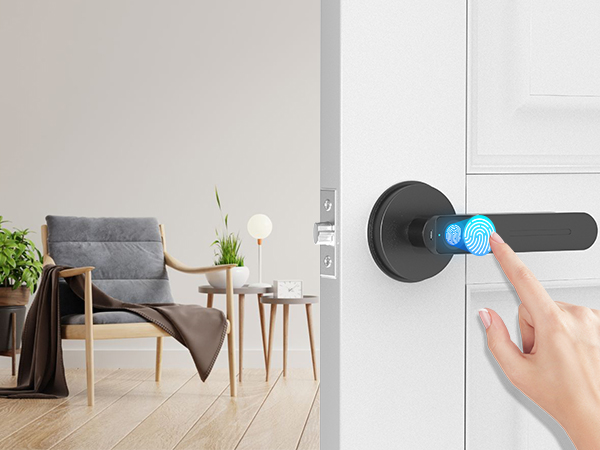 Fingerprint Identification