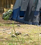 TIMBER RIDGE 8 Person Family Camping Tent with Screen Room, Double Layer Waterproof