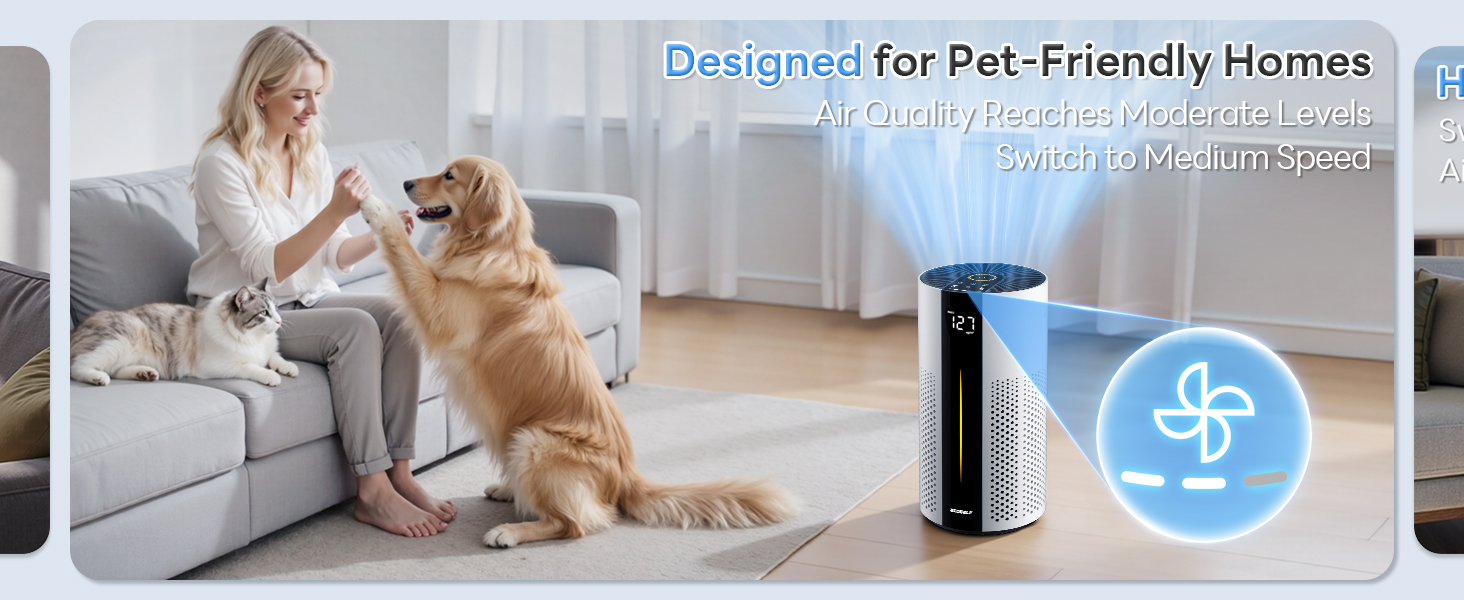 air purifiers