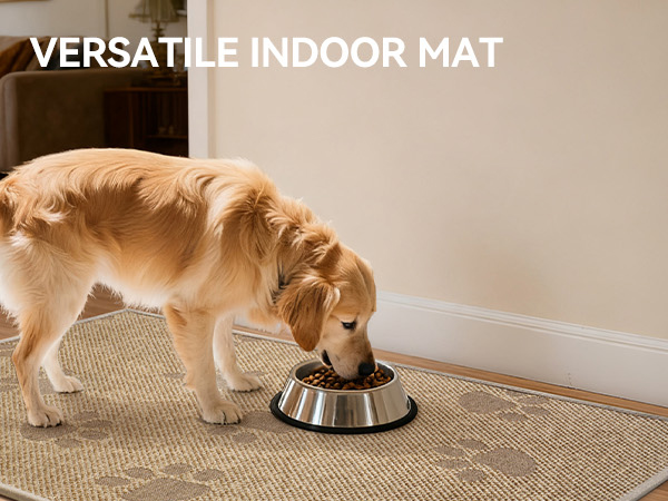 entrance mat