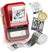 NIIMBOT B21 Pro Label Maker, 300DPI HD Label Printer, Ideal for Notes,Photos, Study Graphics, Mem...