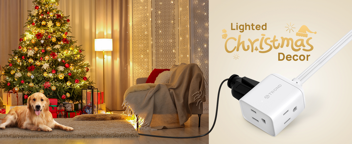 Christmas essentials