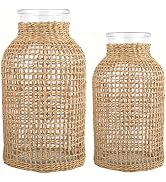 DOITOOL Rattan Vase Boho Woven Glass Vase, Country Rustic Style Wicker Floral Container, Farmhous...