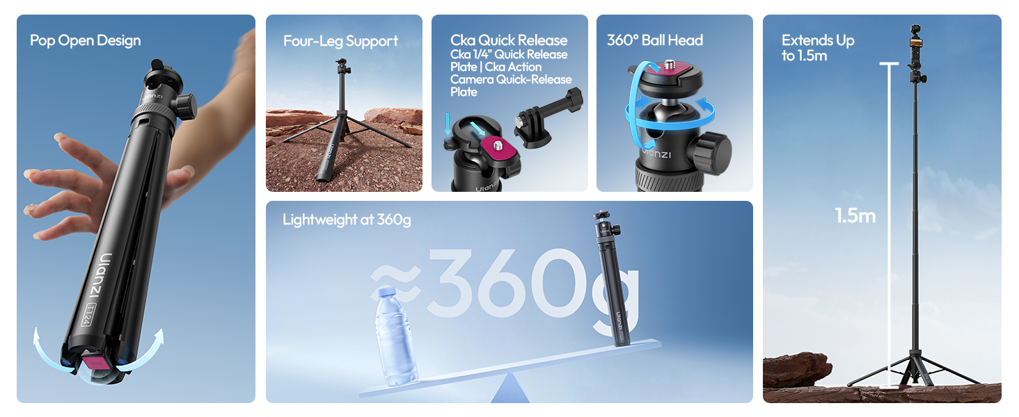 Collection of winter sports images showing skiing and snowboarding action shots against snowy backgrounds.