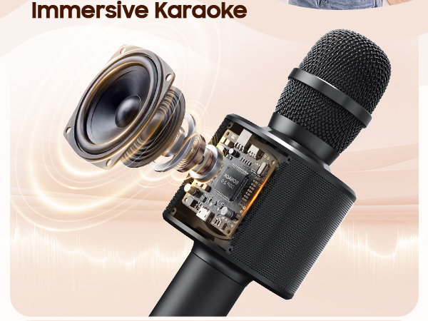 karaoke microphone