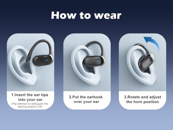 Translation Earbuds