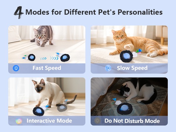 cat toys for indoor cats