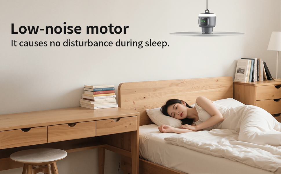 Low-noise motor