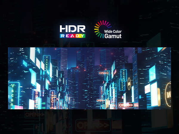 Most Vivid Display (HDR Ready)