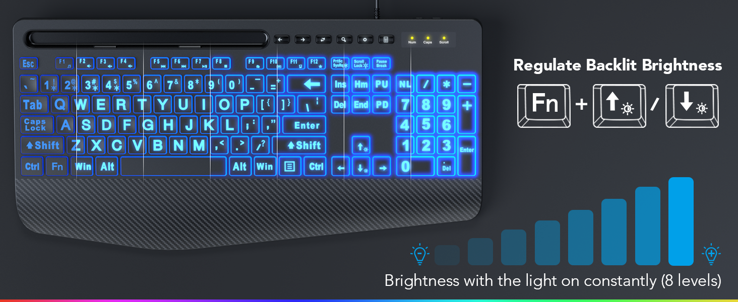 Backlit keyboard and mouse