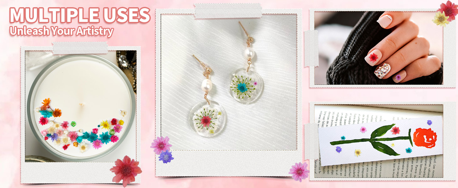 Mini Dried Flowers for Resin