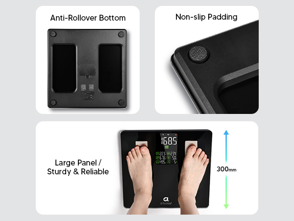body fat percentage scale