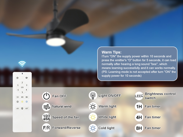 outdoor ceiling fans