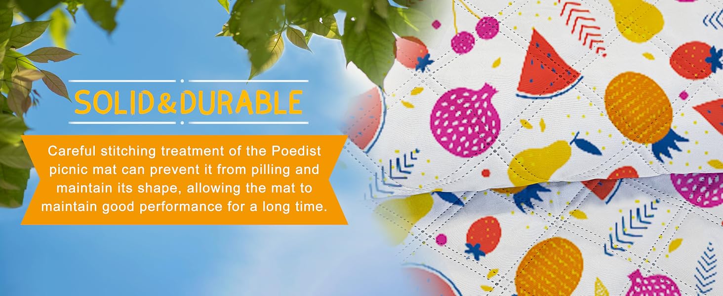 picnic mat