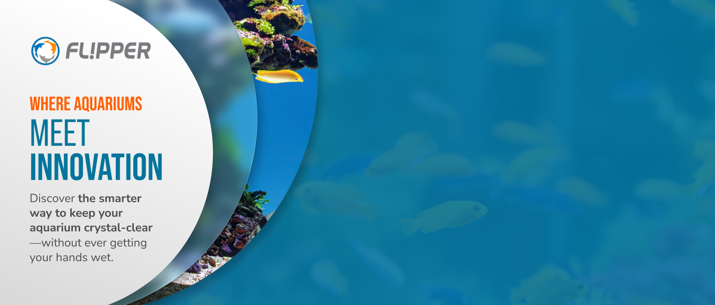 flipper deepsee magnetic aquarium magnifying glass underwater viewer coral lens reef freshwater