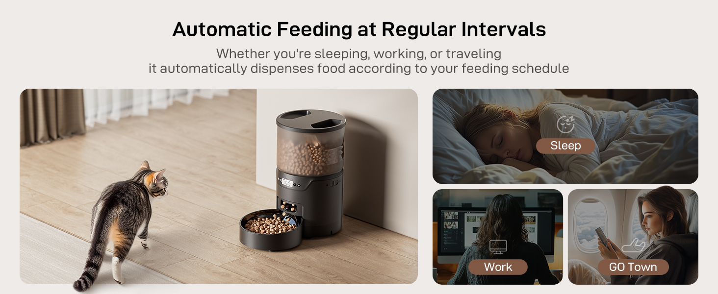 automatic catfood dispenser