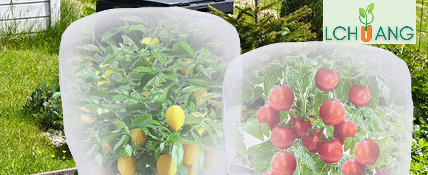 Bird_Garden_Netting_for_Garden_Protection_1