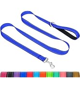 Taglory Dog Leash for Small Dogs, Double-Sided Reflective Leash with Soft Neoprene Padded Handle,...